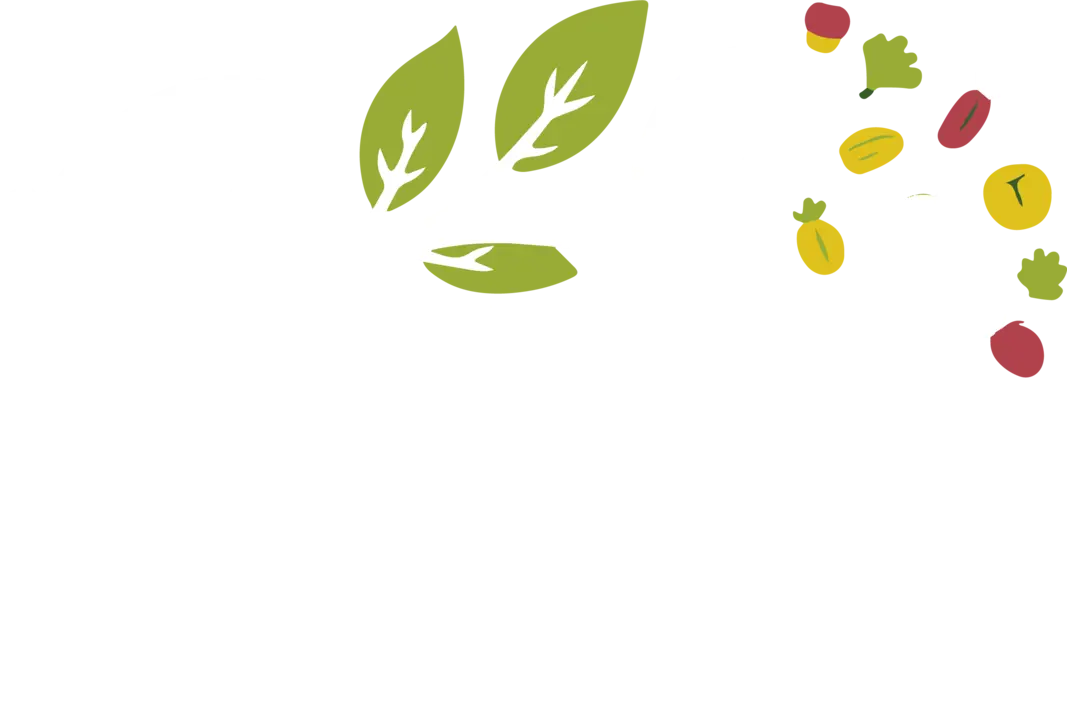 Gabi No 1. Online Multi Vendor Agro Marketplace In Nigeria